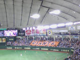 091022_2204~01.jpg