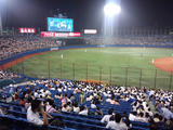 8d518189.JPG