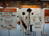 40504995.JPG
