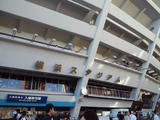 d07970f3.JPG