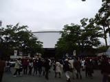 571462b4.JPG