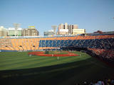df21b895.JPG