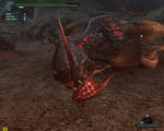 716608b0.jpg