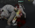 6dodo.jpg
