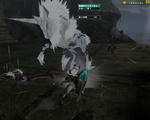 17kirin.jpg