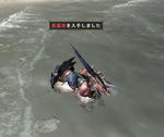 1kuroshinjyu.jpg