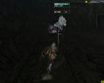 11kirin.jpg