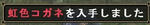 11nijiiro.jpg