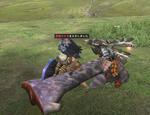 1nazuchi.jpg