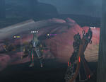 iitage.jpg
