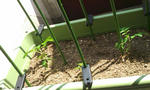 120506_1318~01.jpg