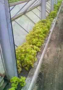 20060727123620.jpg