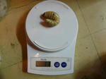 60ec182f.jpg
