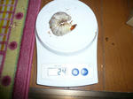 9dd96631.jpg