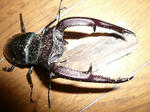 9553cc33.jpg