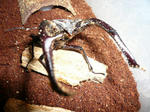 122528f5.jpg