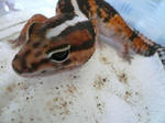 e94970b1.jpg