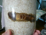 b8b92f42.jpg