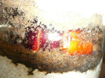 46f2d556.jpg