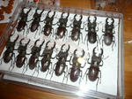453c1396.jpg