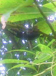 30902517_2465254311.jpg