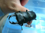 6c3422b8.jpg