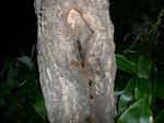 f4b7931f.jpg