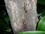 f879f592.jpg