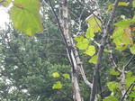 a4082e62.jpg
