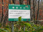 d1a729d0.jpg