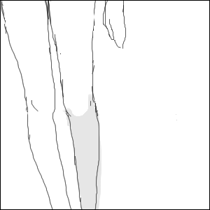 p01.png