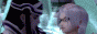 5355c952.gif