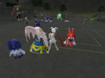 20100515_2027_24.jpg