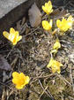 080308_05.jpg