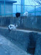 080311_01.jpg