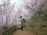 080414_01_05.jpg