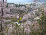 080414_01_06.jpg