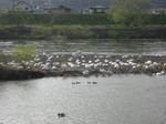 080414_01_13.jpg
