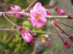 080414_03.jpg