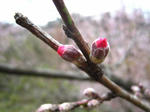 080414_04.jpg