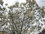 080414_05.jpg