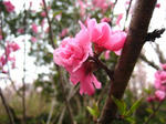 080414_06.jpg