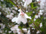 080414_07.jpg