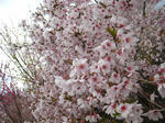 080414_08.jpg