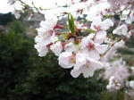 080414_09.jpg