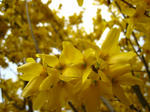 080414_11.jpg