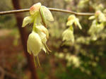 080414_12.jpg