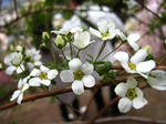 080414_13.jpg