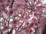 080414_16.jpg