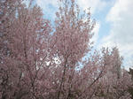 080414_17.jpg
